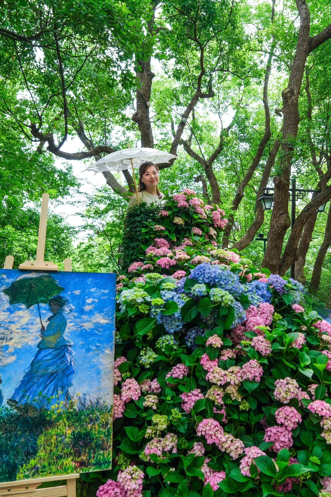 今年的绣球花展，吴山天风赢麻了！🌸