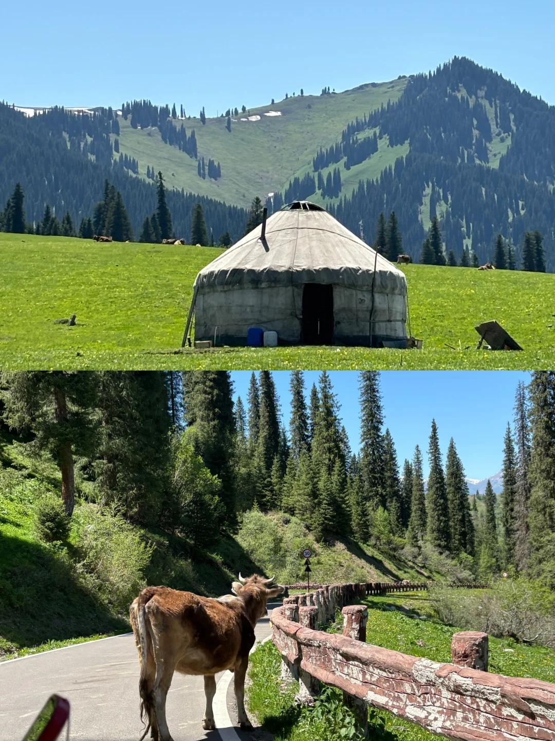 广东出发想去伊犁的可以借鉴！