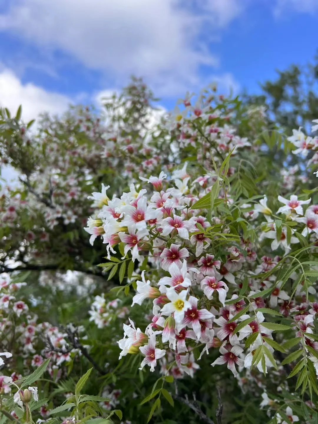 大境门越野赛最美的落日时光