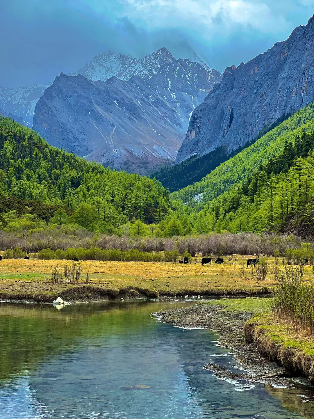 5.19稻城亚丁实况🌳从你的全世界路过…