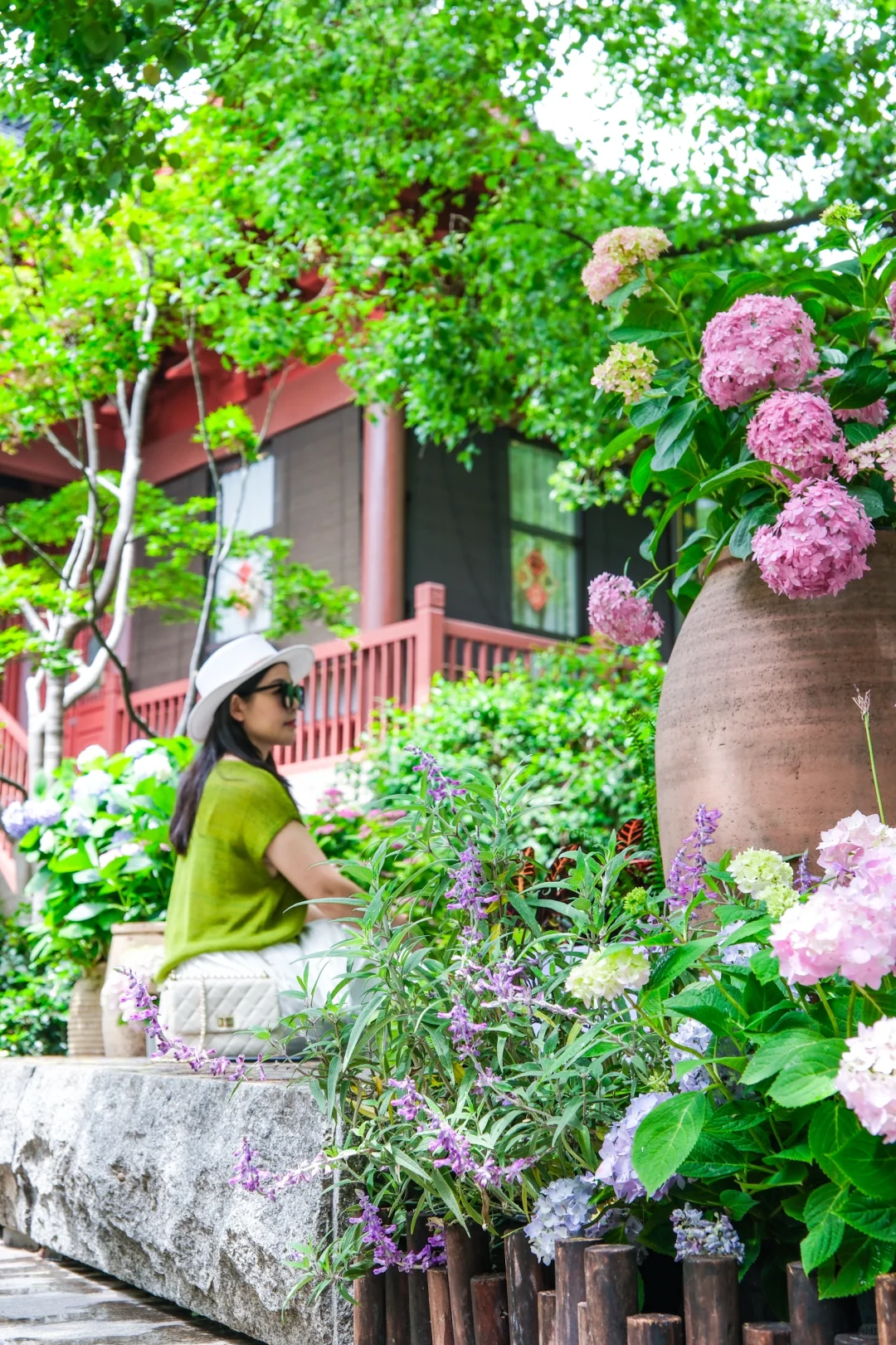 今年的绣球花展，吴山天风赢麻了！🌸