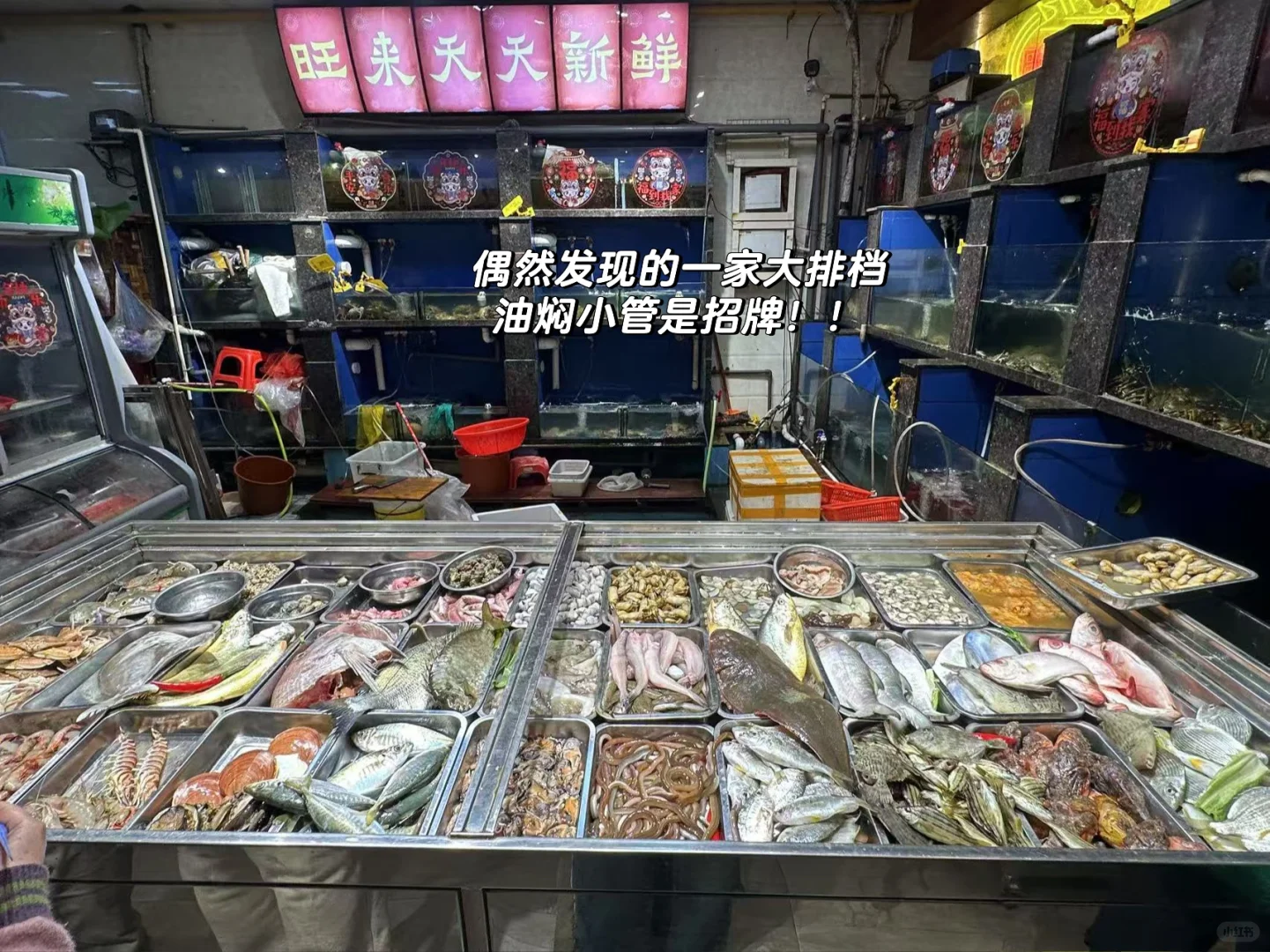 去了6次东山岛 !熬夜总结保姆级旅游攻略！