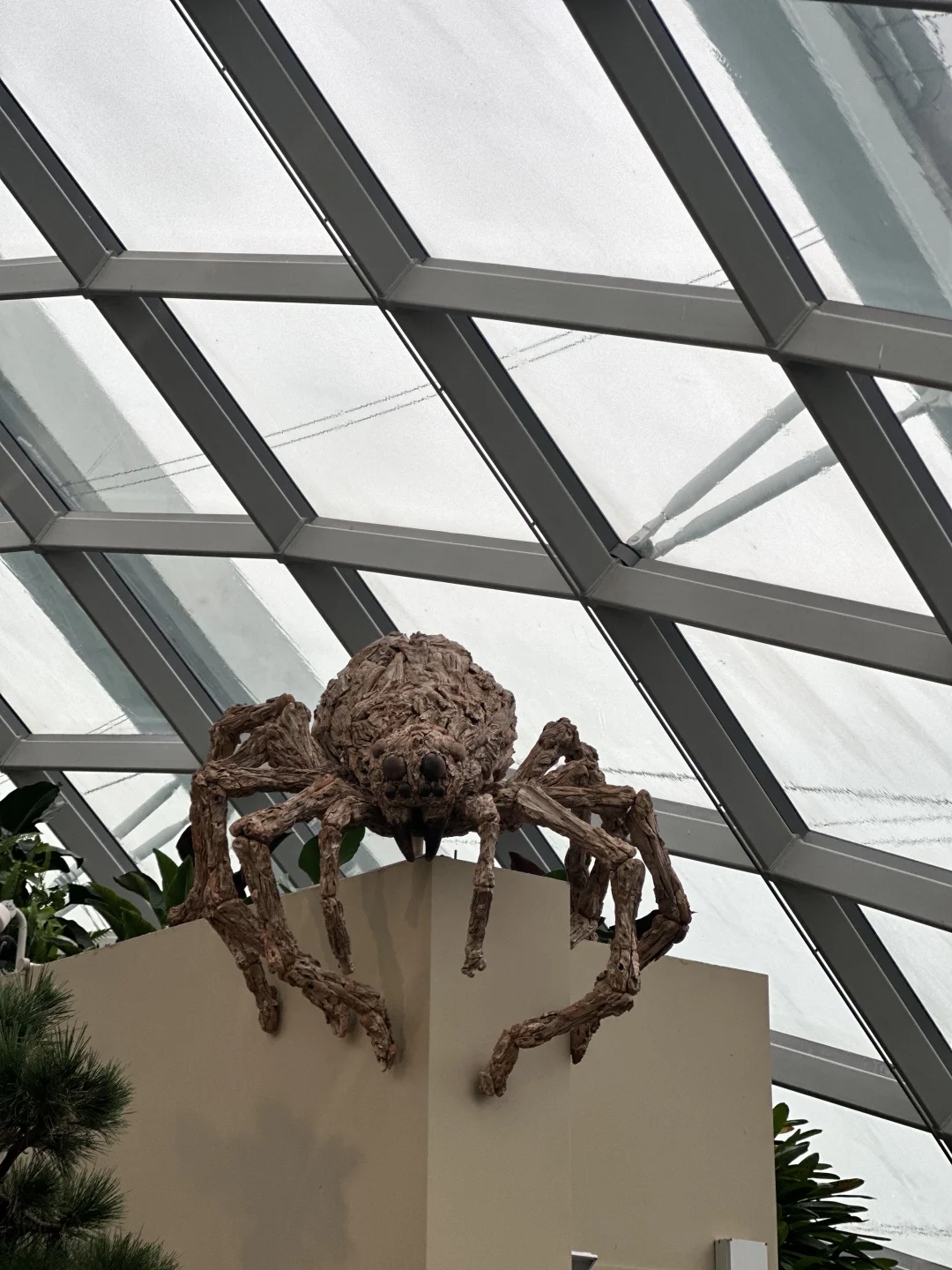 新加坡 🇸🇬📍｜Day 2⛈️