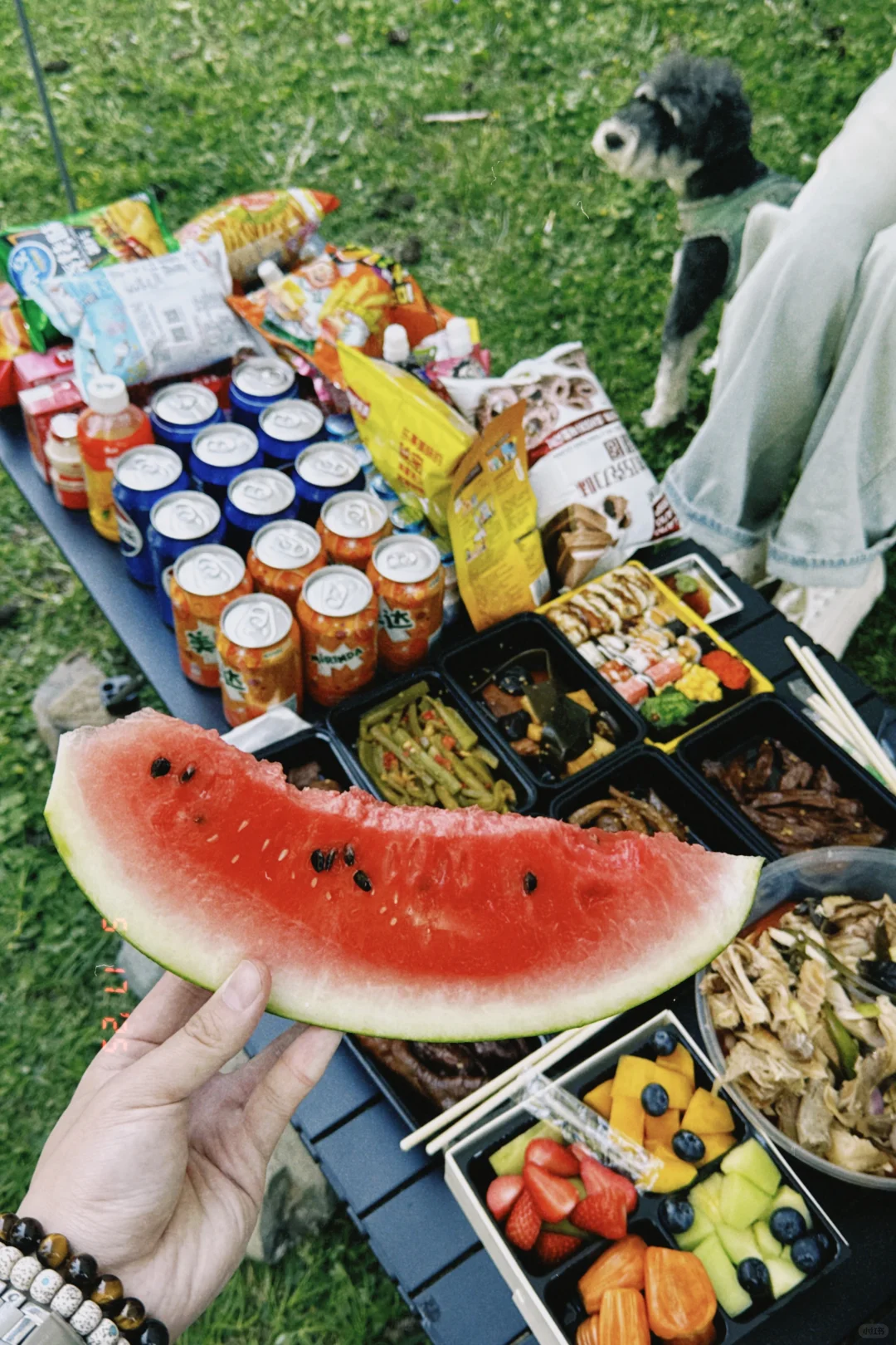 乌鲁木齐｜露营不来这来哪儿！