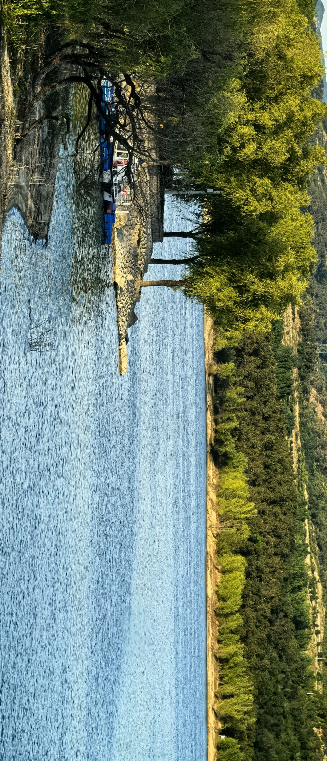 这个地方真的太美了！！！🌲🌲