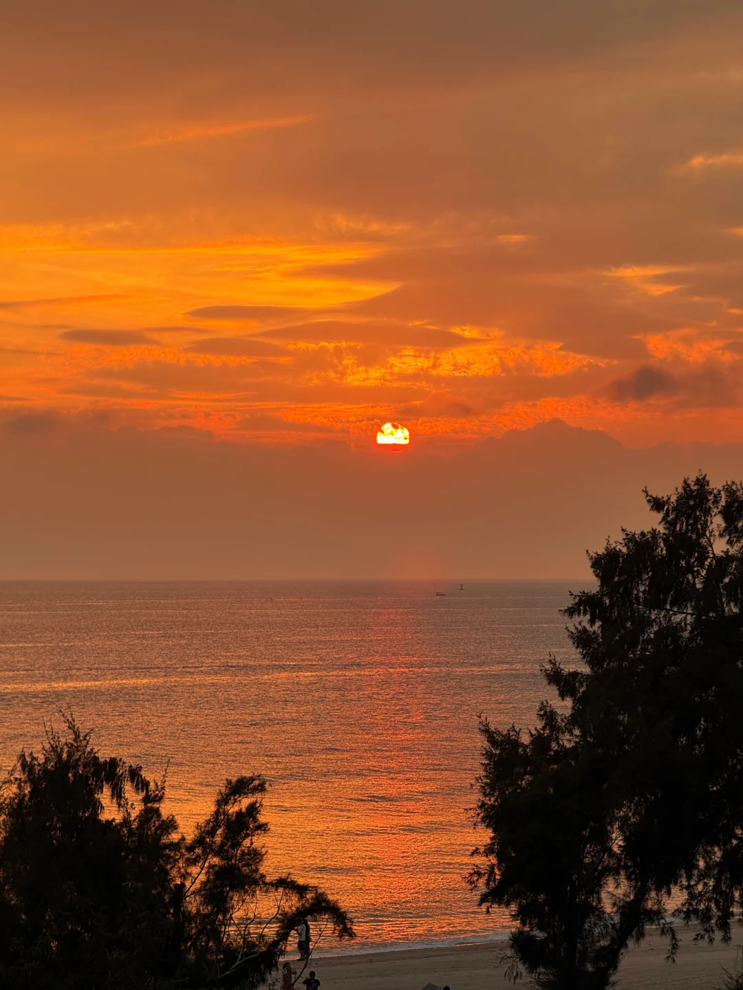 五月中下旬涠洲岛旅游大实话都在这里了！！