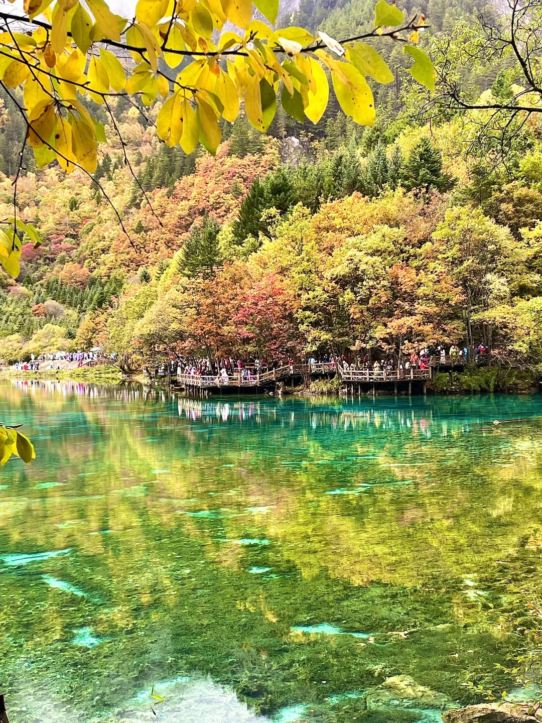 四川高原三大“顶流”九寨沟稻城四姑娘山攻略