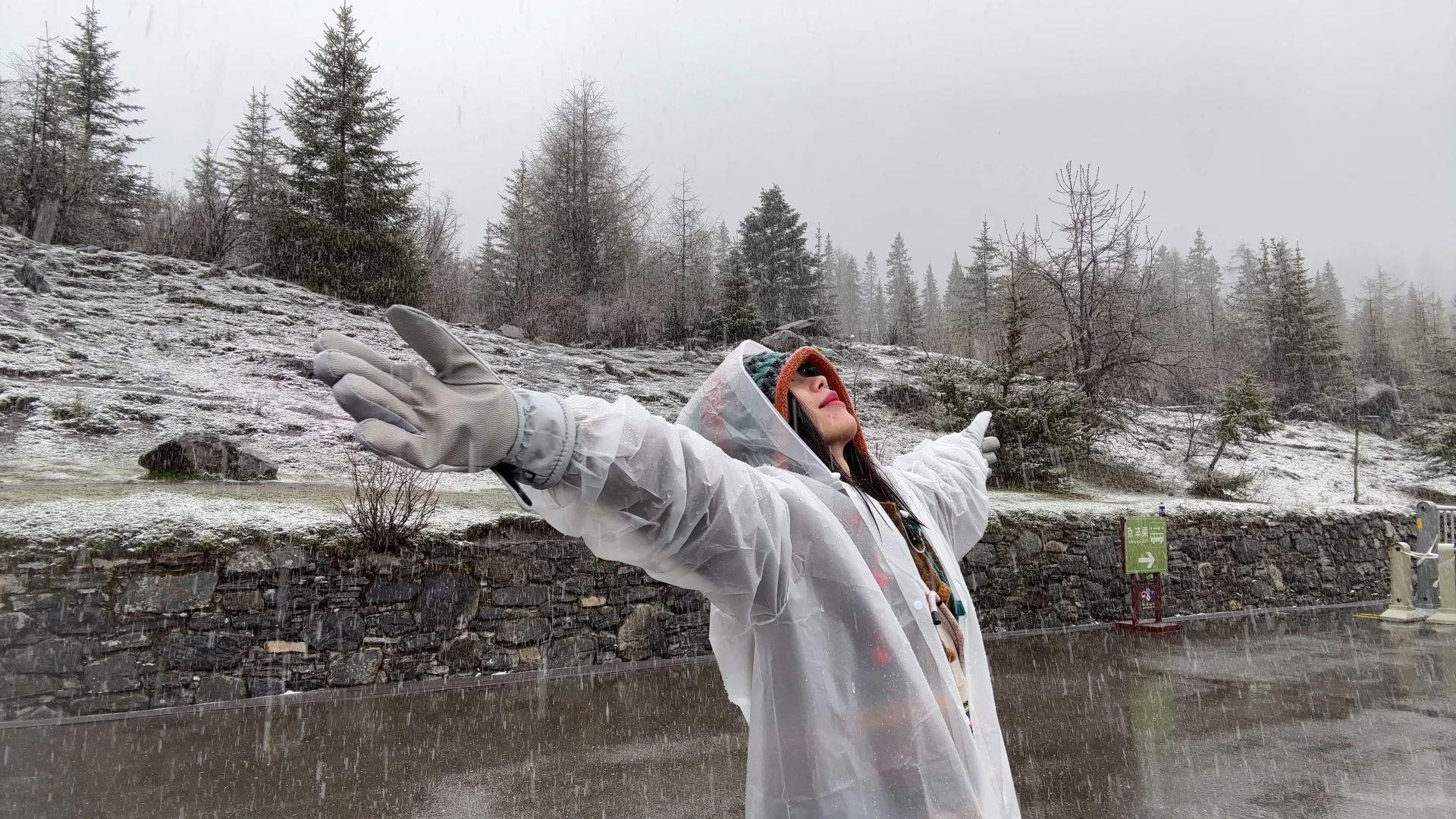 五一四川精华游：九寨沟四姑娘山熊猫基地三