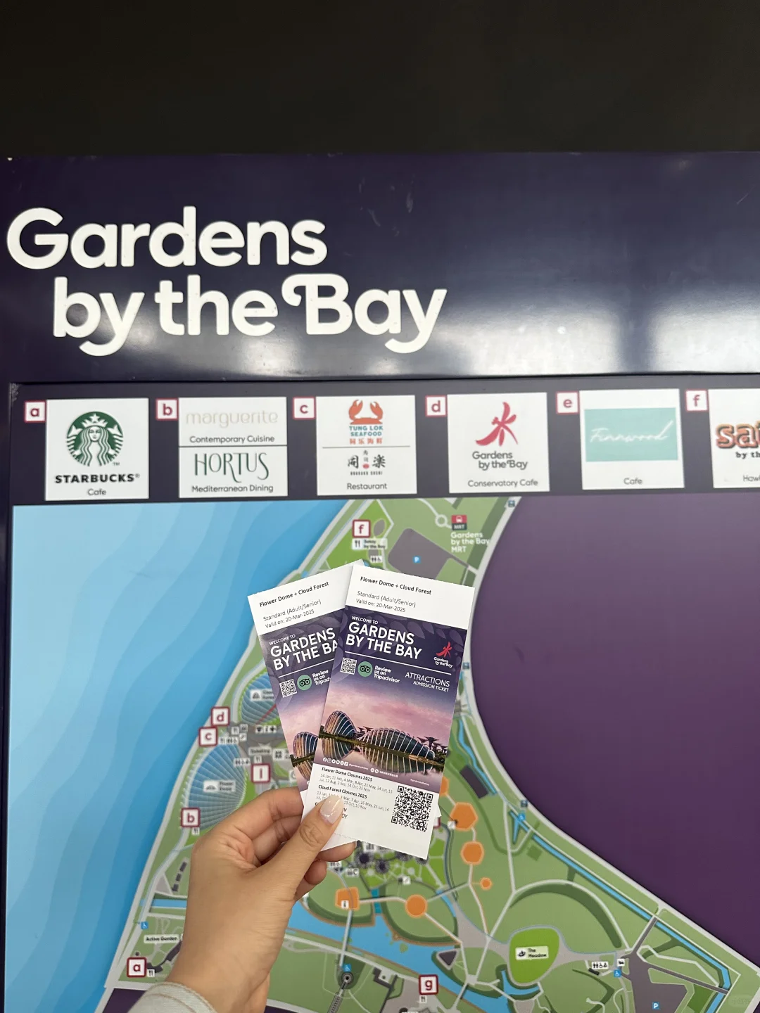 新加坡 🇸🇬📍｜Day 2⛈️