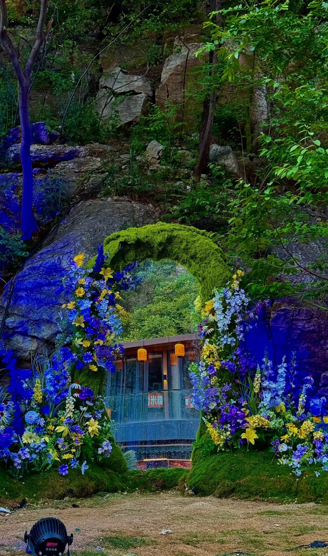 寻一处喧闹之中的静谧之地