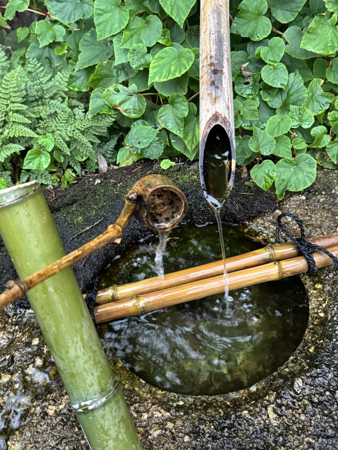 日本名古屋80%的人不知道的地方……