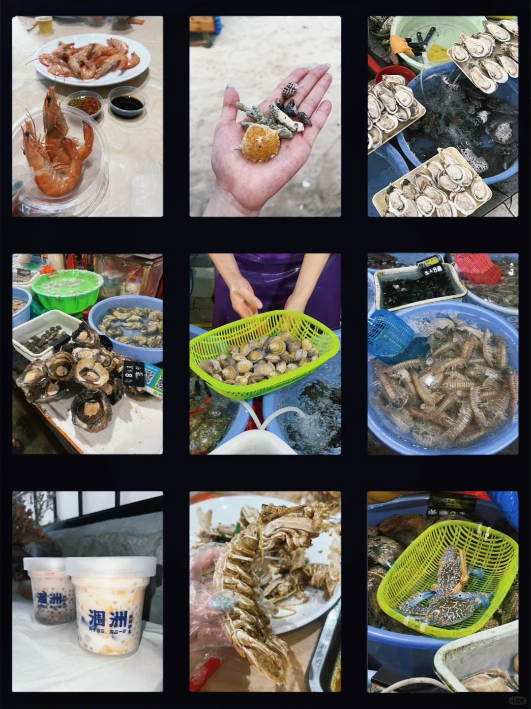 五月中下旬涠洲岛旅游大实话都在这里了！！