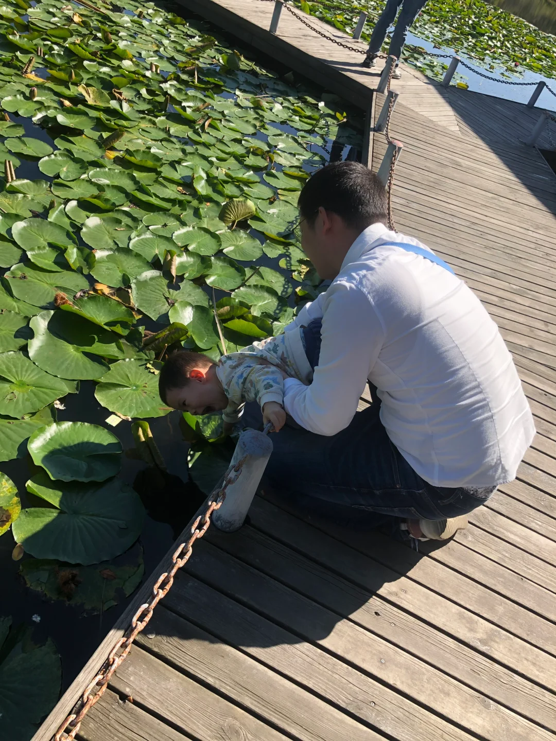 凤城大梨树·一日遛娃