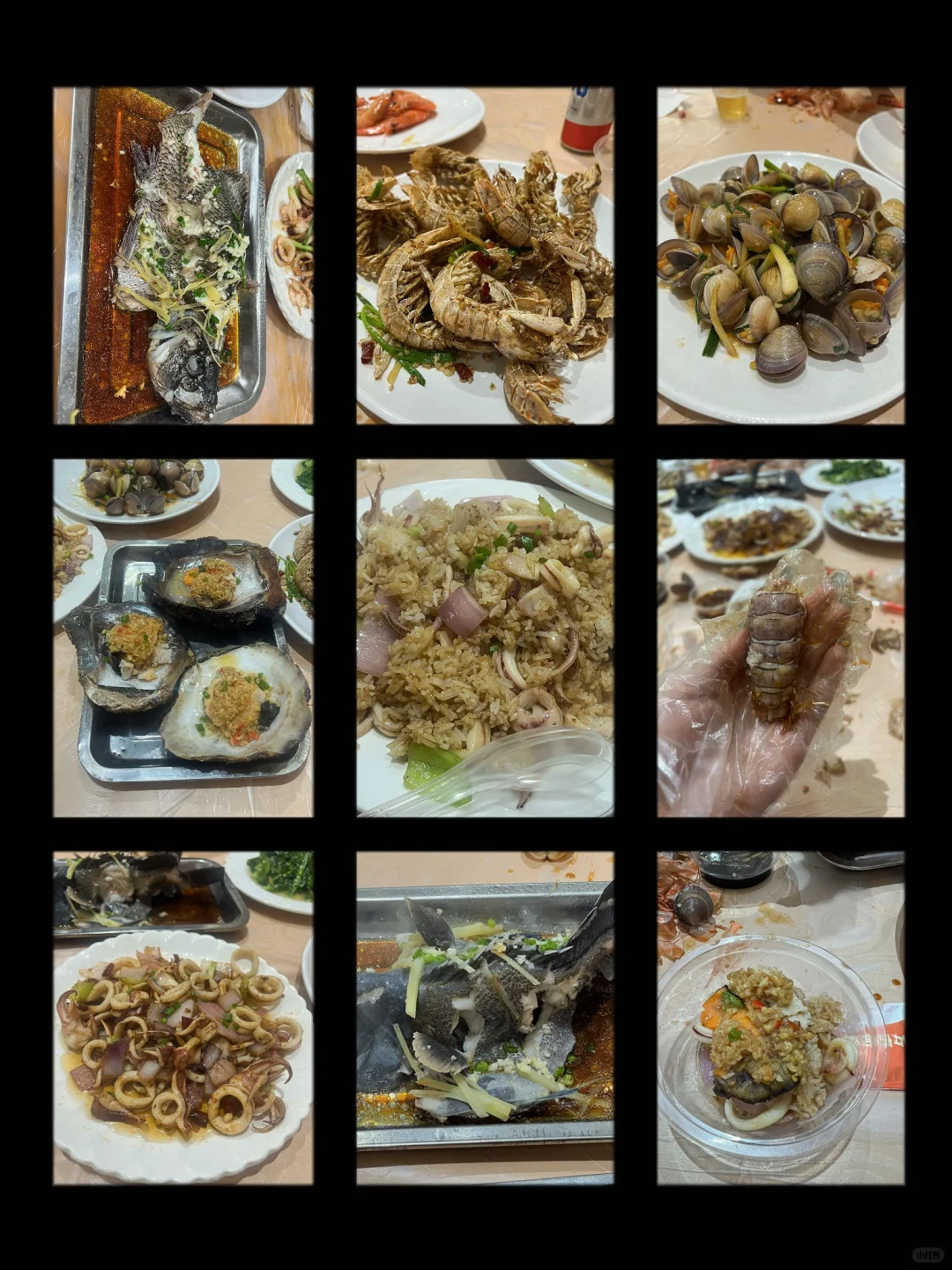 五月中下旬涠洲岛旅游大实话都在这里了！！