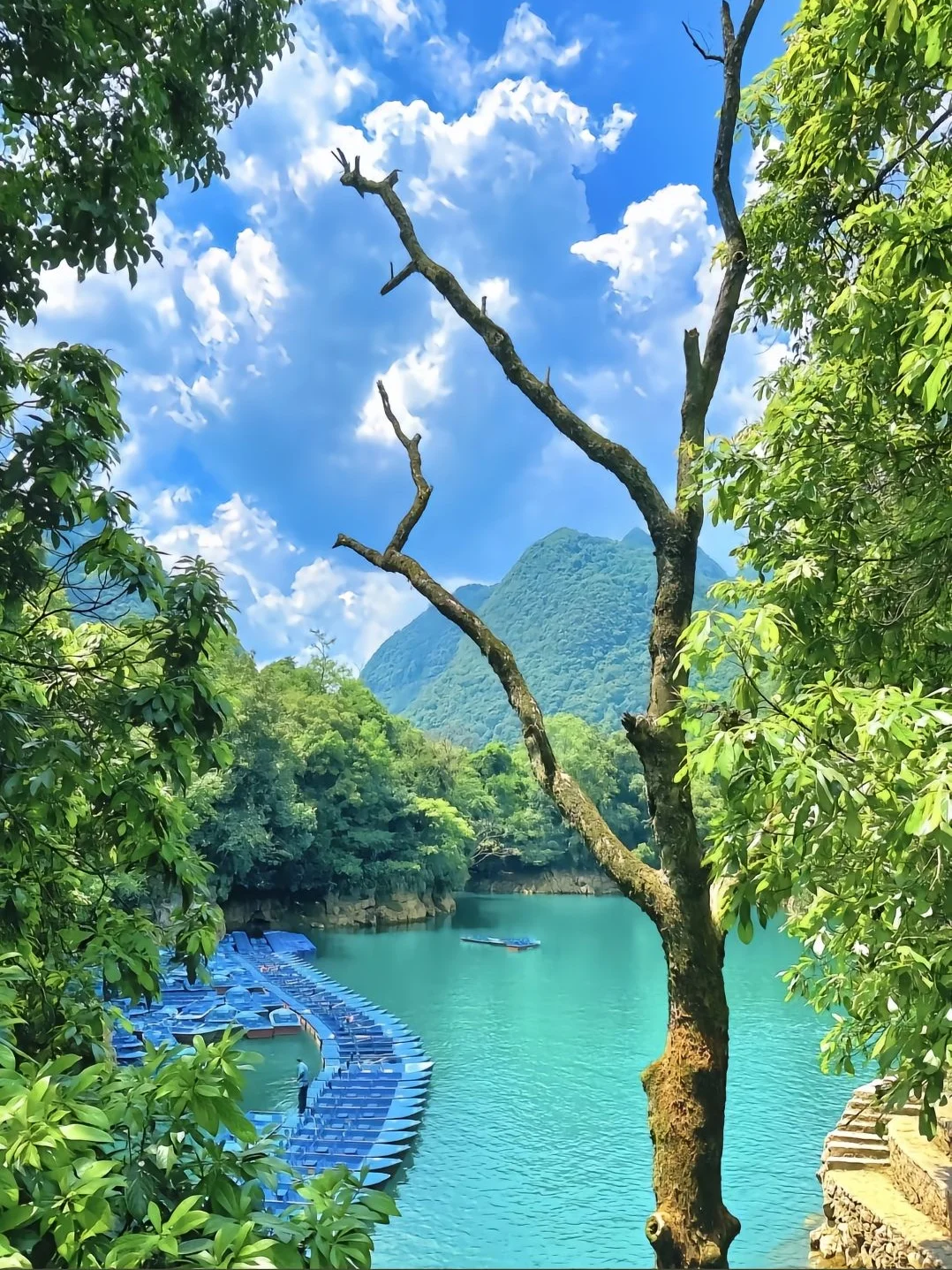 一家三口去贵州，花了2000💰，超划算❗