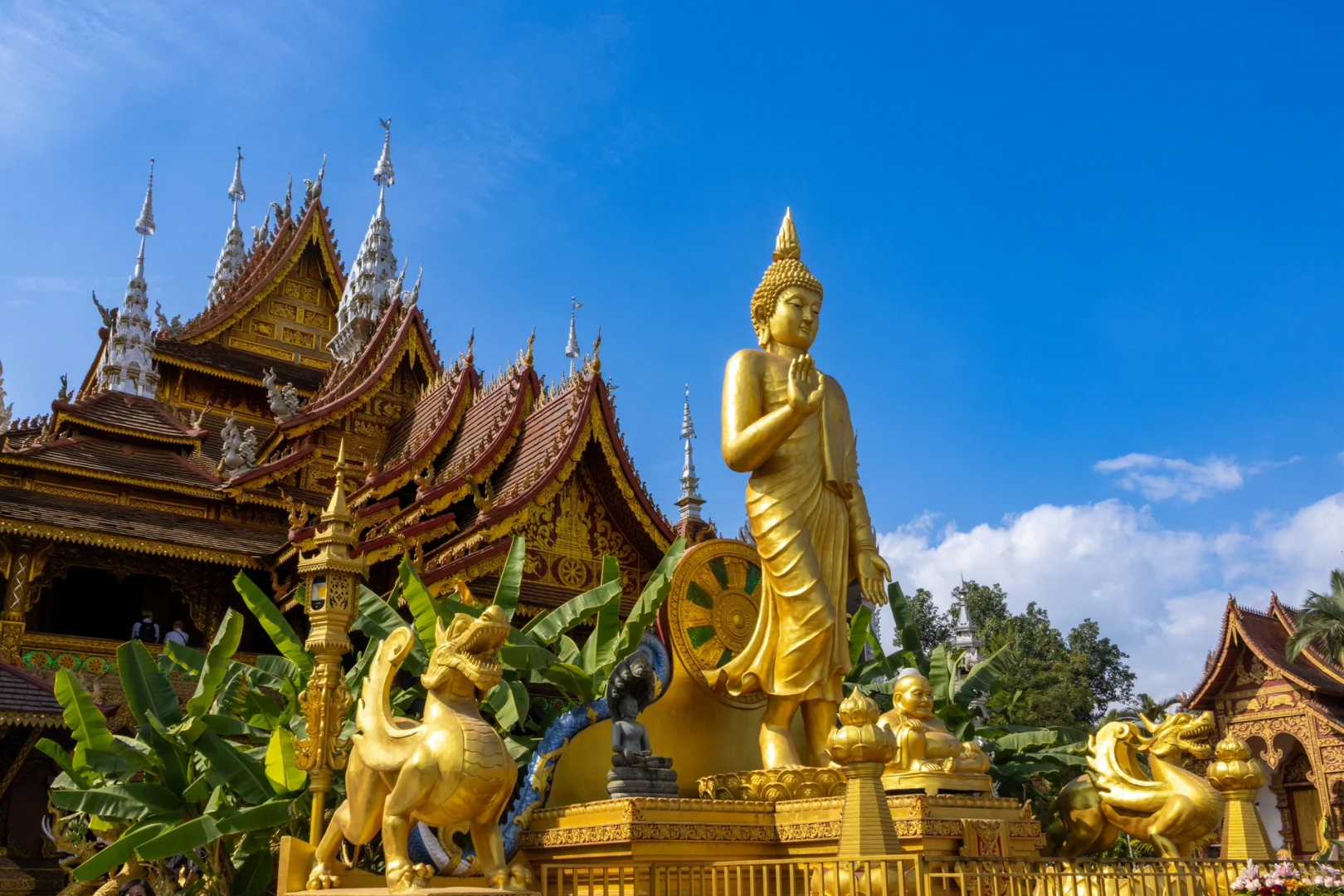 朋友圈被问爆了！这18张图都以为我在国外！