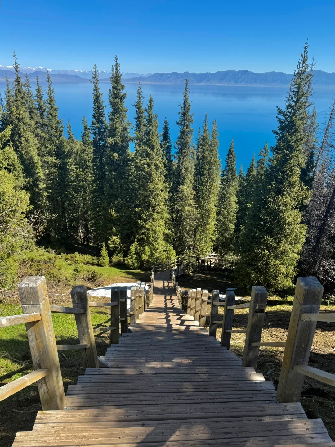 Live图的意义，我终于找到了梦中的那片草原