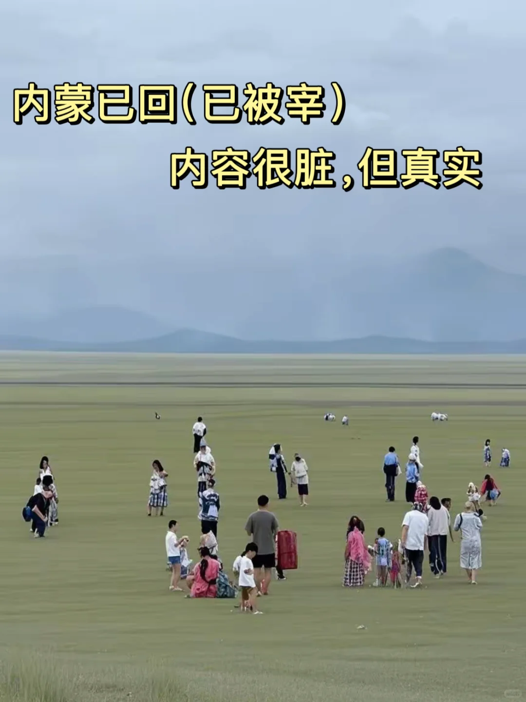 内蒙已回（已被宰）内容很脏，但很真实！！