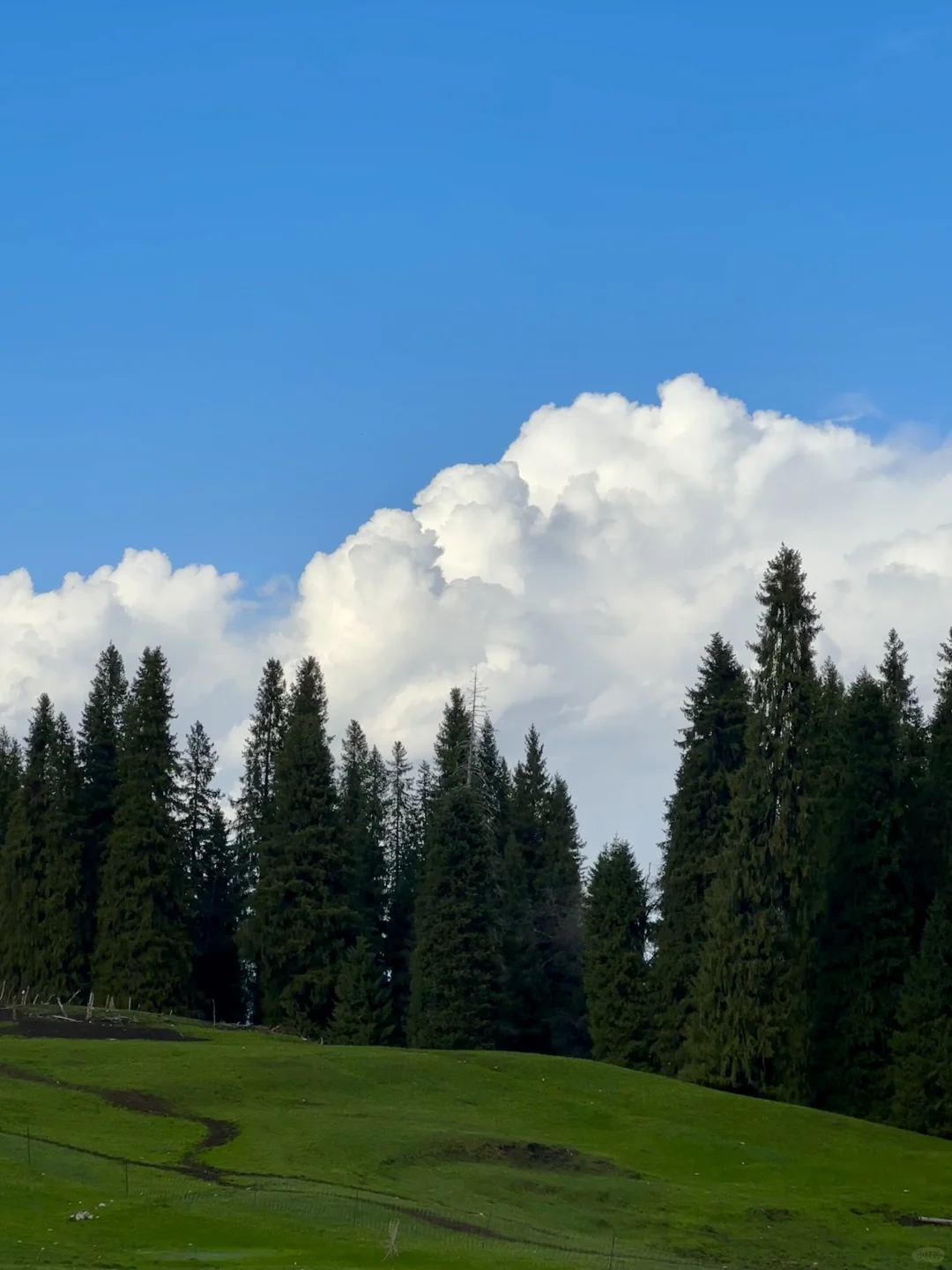 伊犁玩7天以上真的没必要