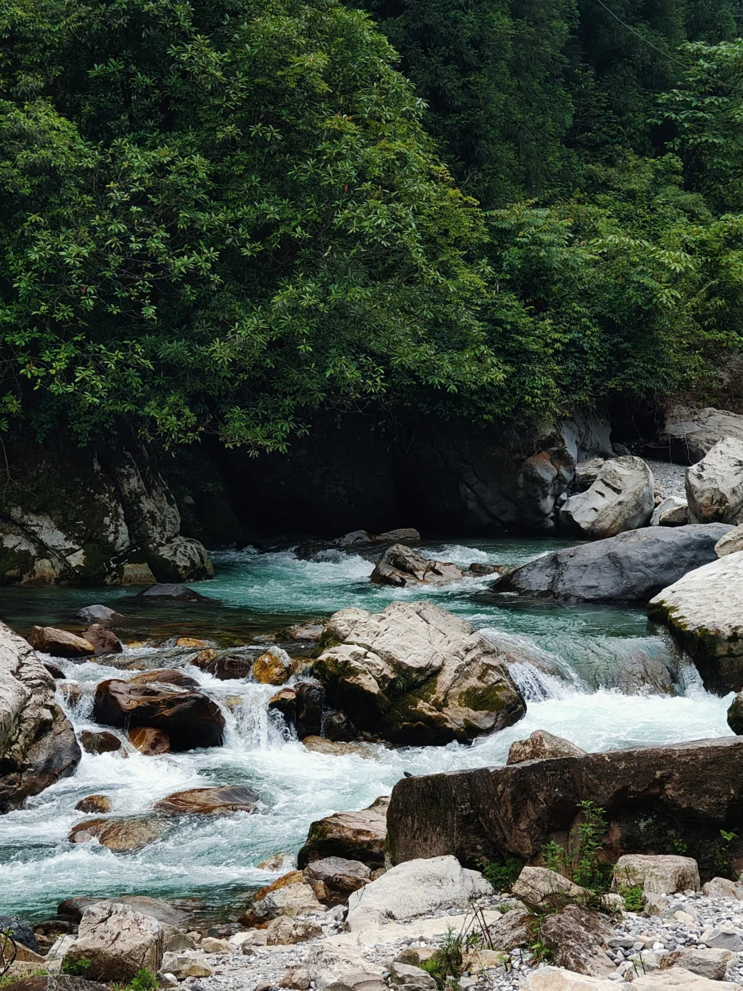 人少绝美瀑布🌿我闯入了绿野仙踪玻璃海！