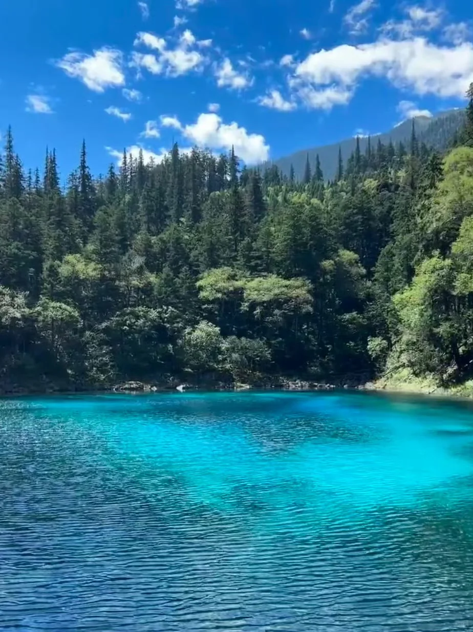 四川高原三大“顶流”九寨沟稻城四姑娘山攻略