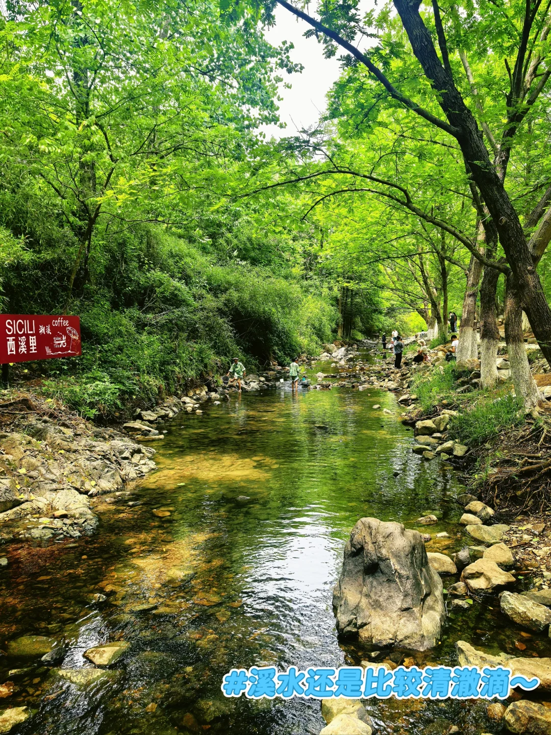 驱车 2 小时去平桥石坝,结果看到这副模样