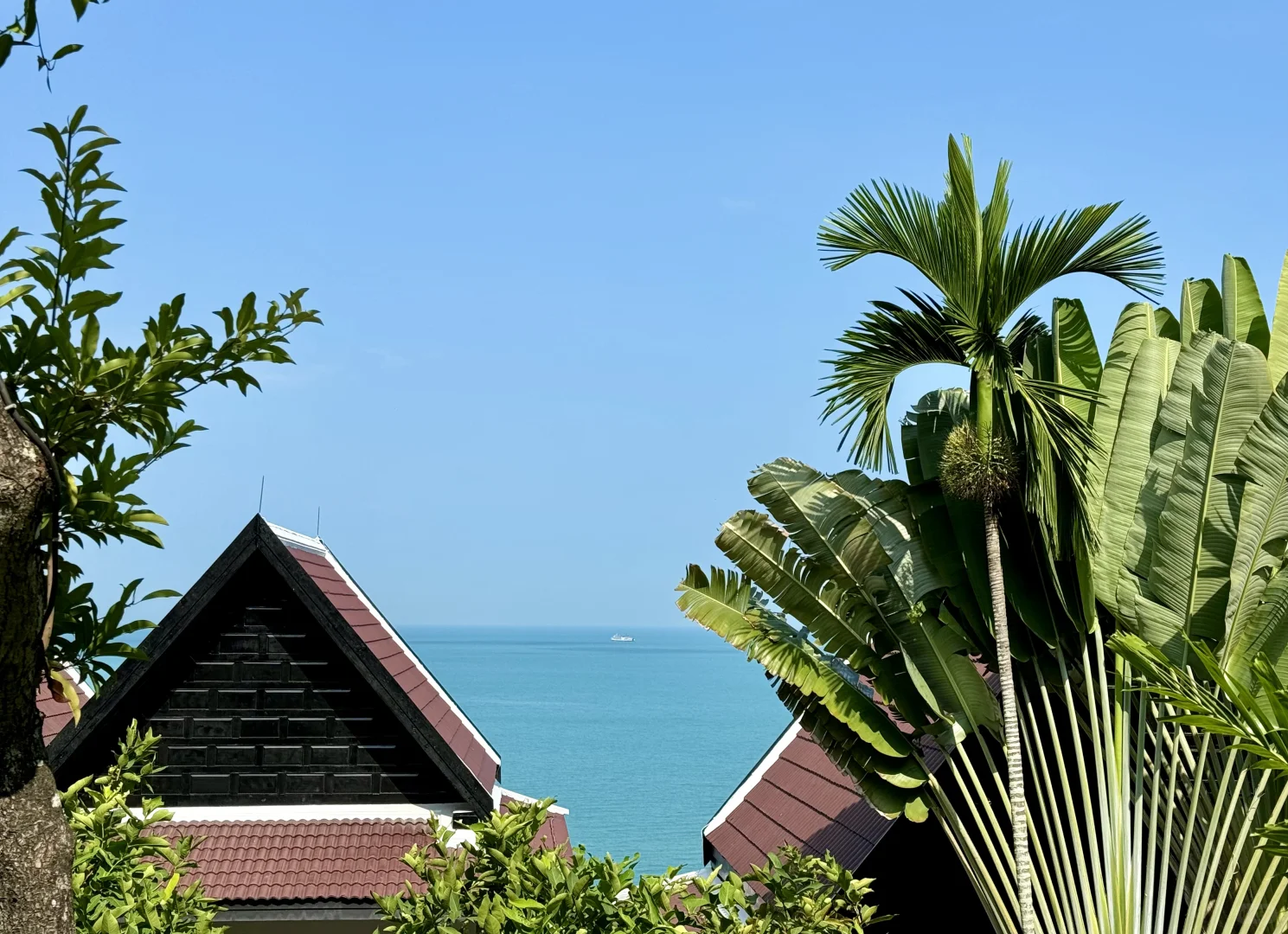 突然觉得人生真的可以很美好