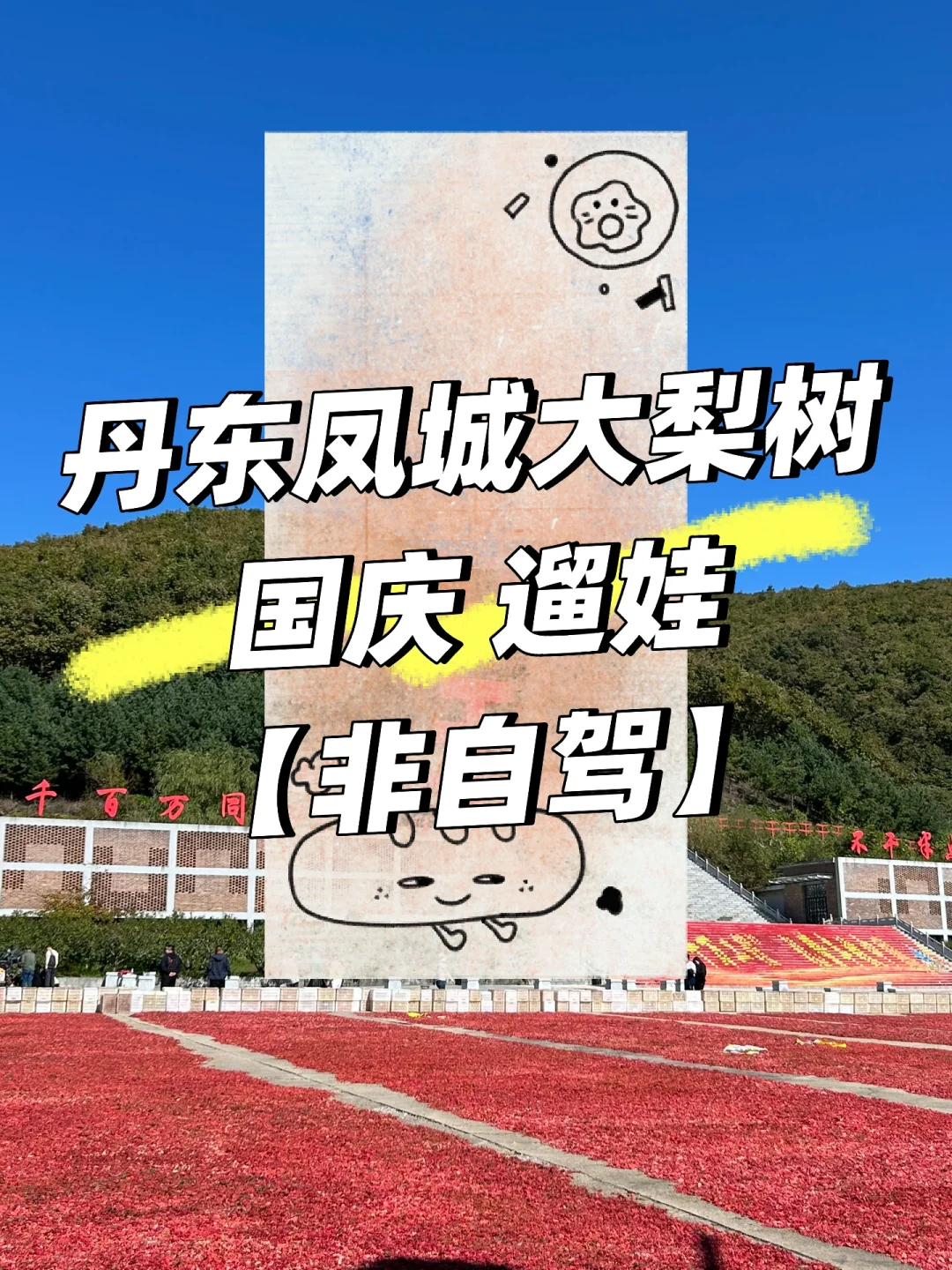 凤城大梨树·一日遛娃