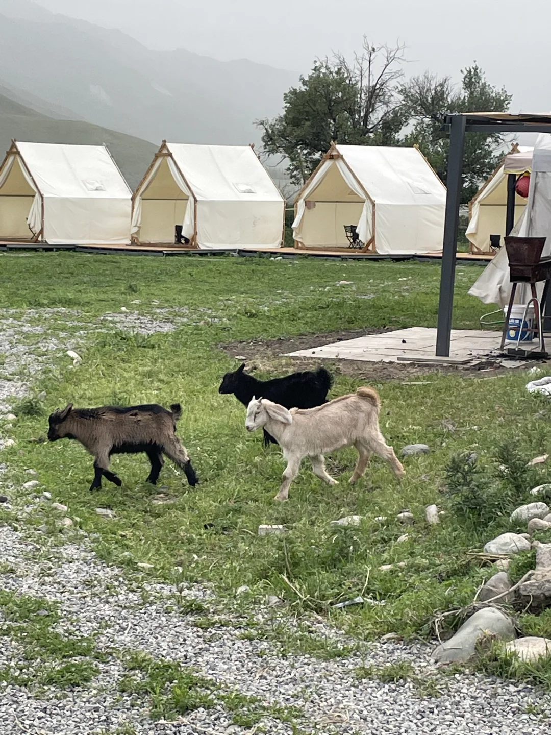 被困住的人儿在新疆找寻心灵的救赎