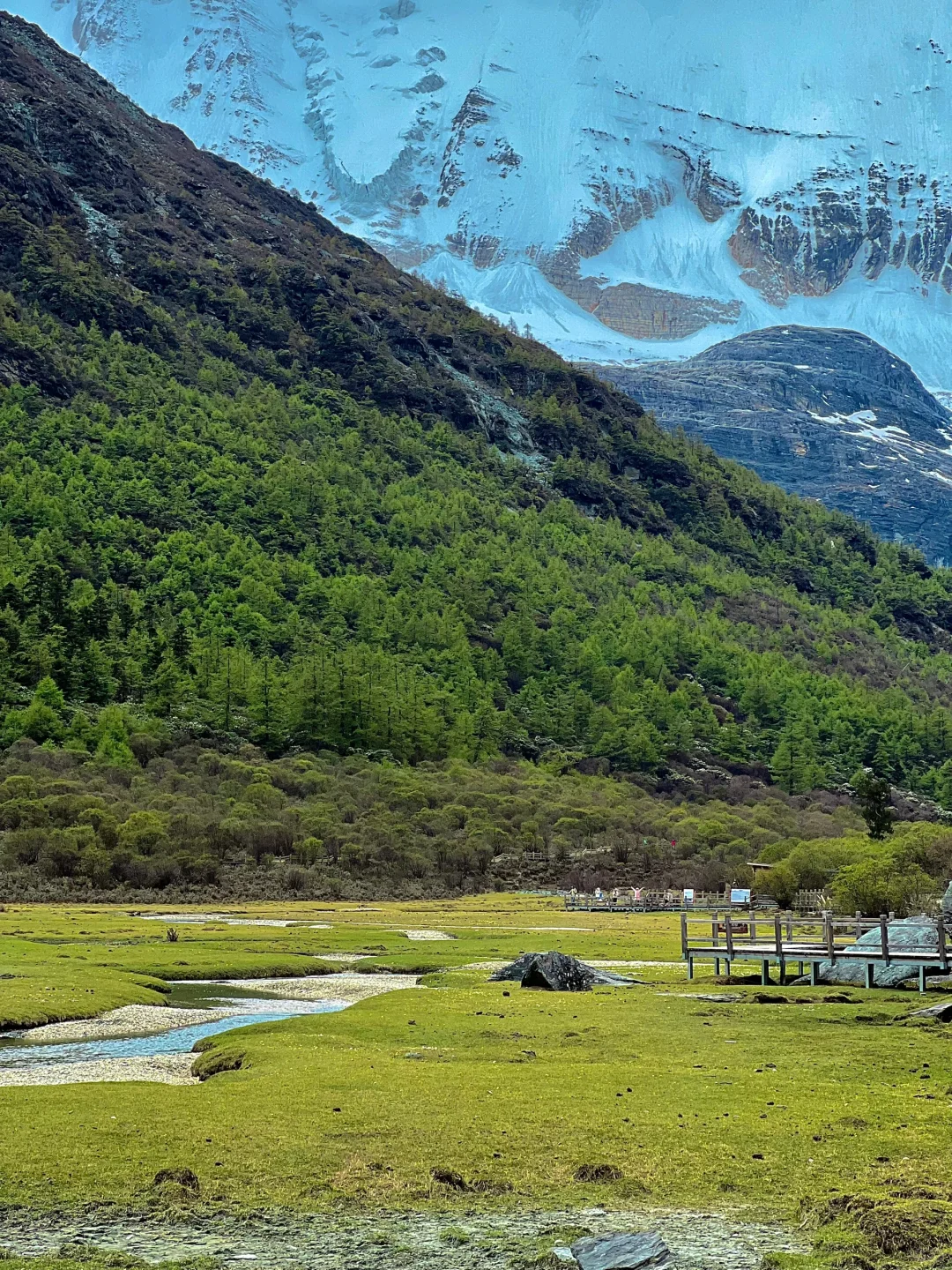 5.19稻城亚丁实况🌳从你的全世界路过…