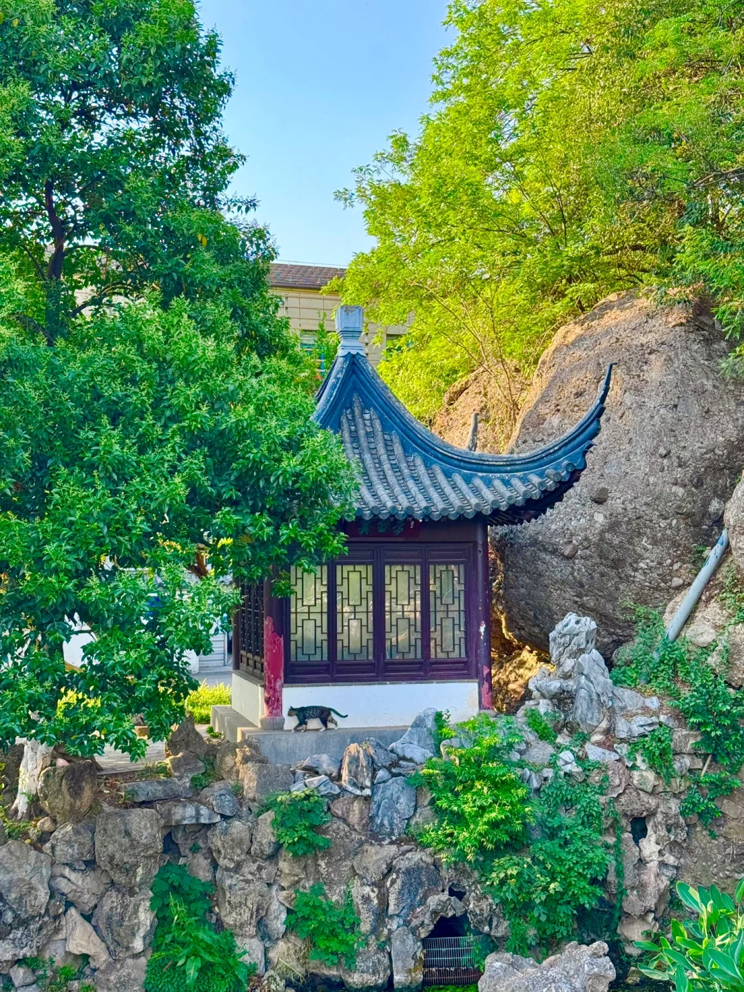 第一个发现南京这个机位的人是天才吧…