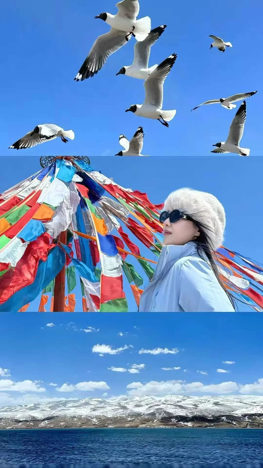 上车睡觉 下车尿尿 景点拍照