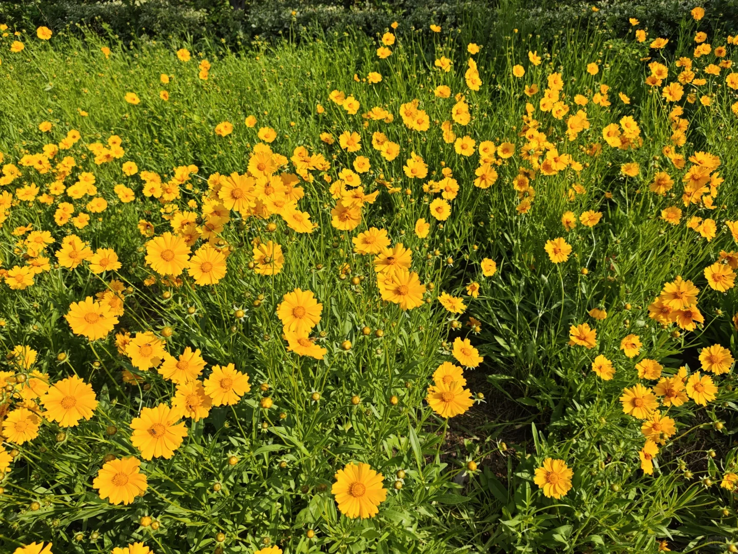 人少景美又能体验到汉文化