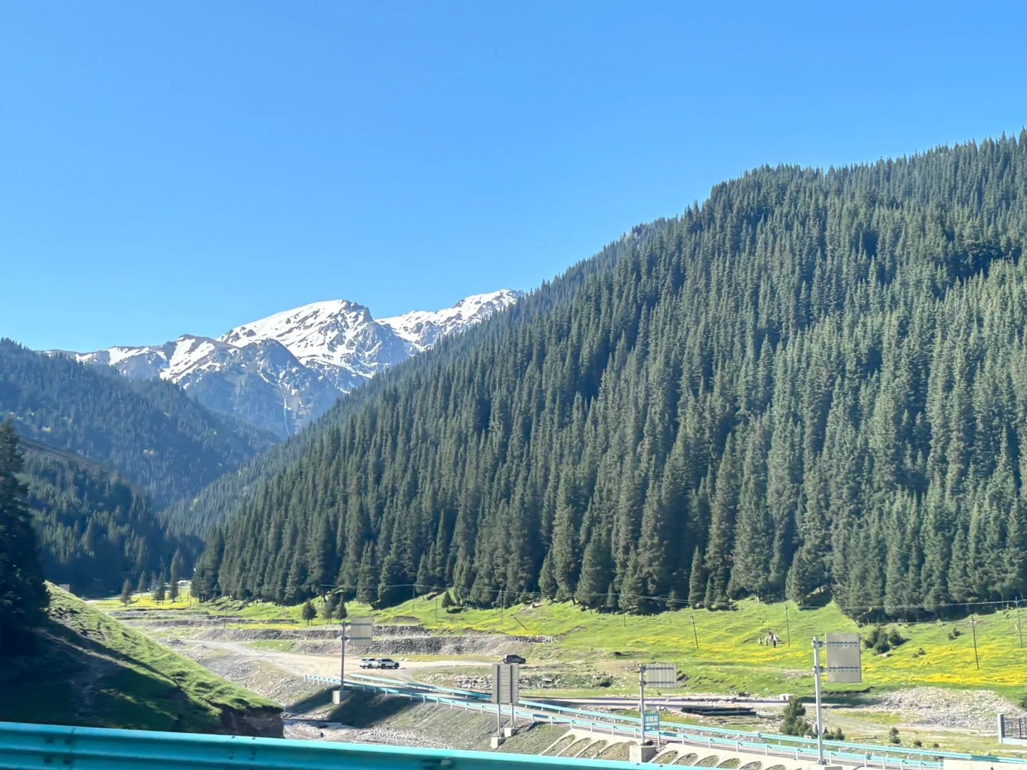 广东出发想去伊犁的可以借鉴！