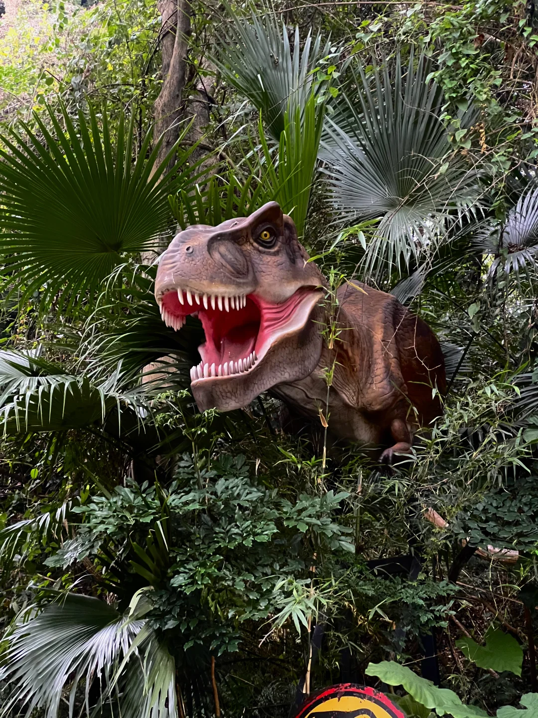 在广州，误入现实版侏罗纪公园！！太酷了！！！