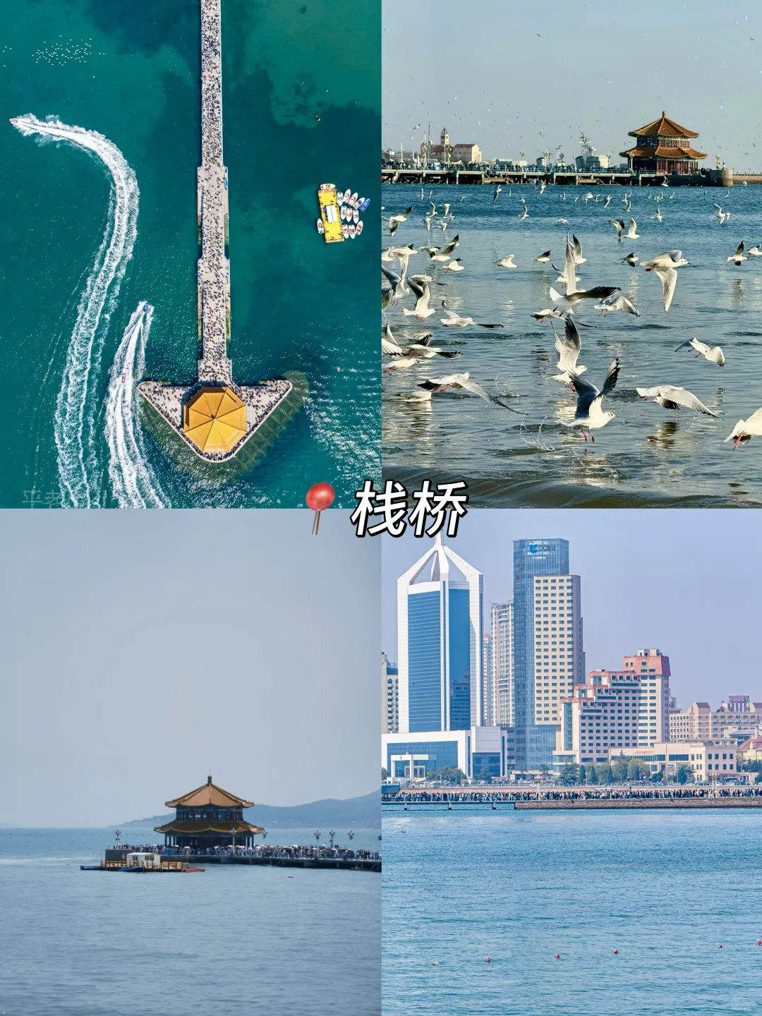 青岛会惩罚每一个不提前预约的人…😥😥