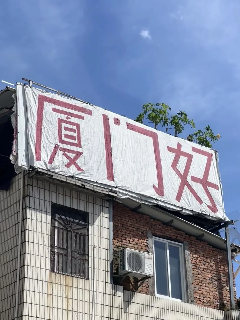 没有烦恼的小岛🌴