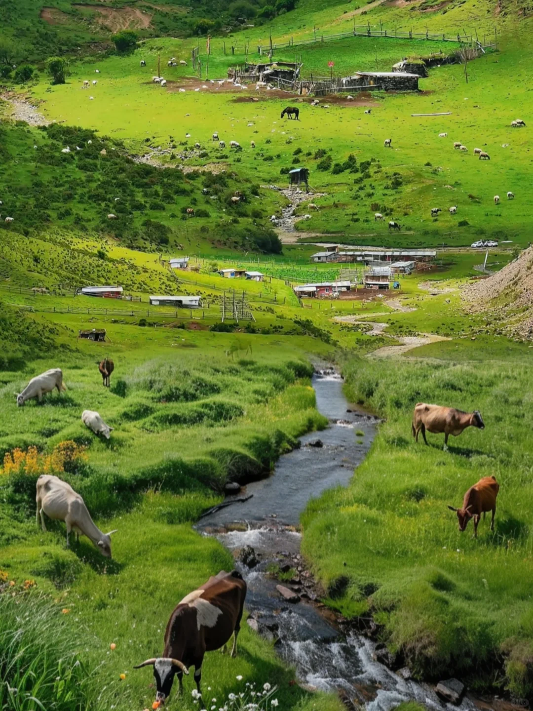 🏞️五月份必去的六大绝美景点！速速出发