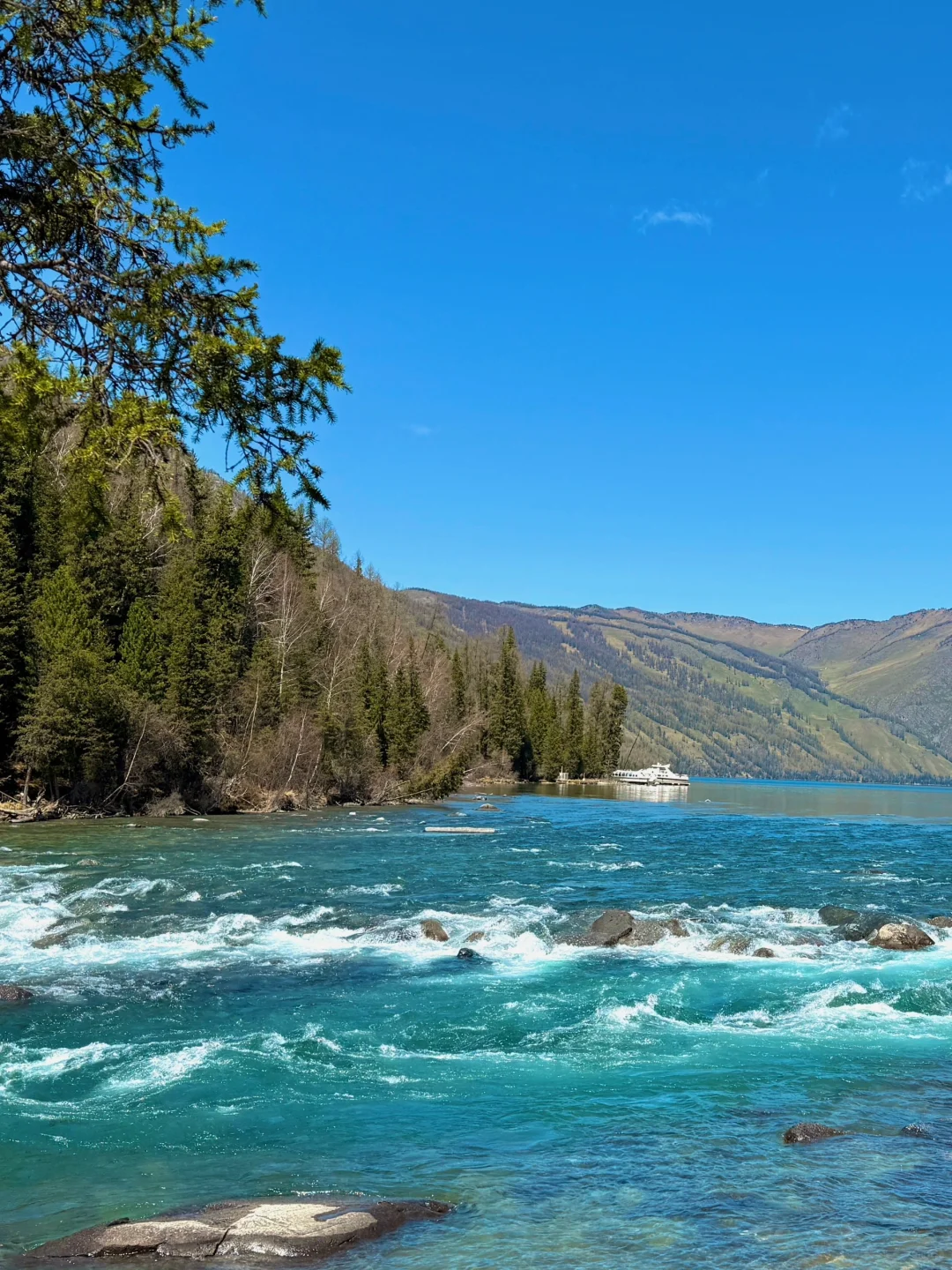 5月喀纳斯真实现状‼️别再问值不值得去啦