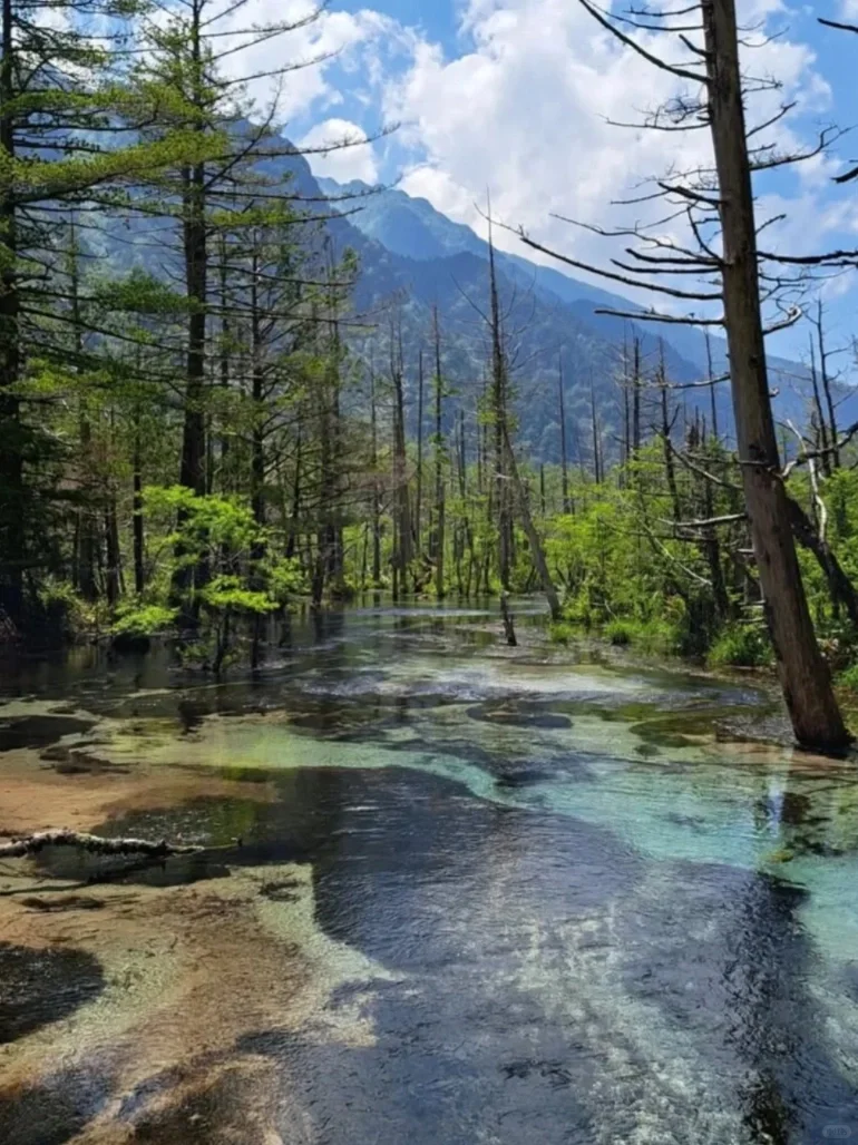 被追问爆了❗ 日本三古都六天游太惊艳了！