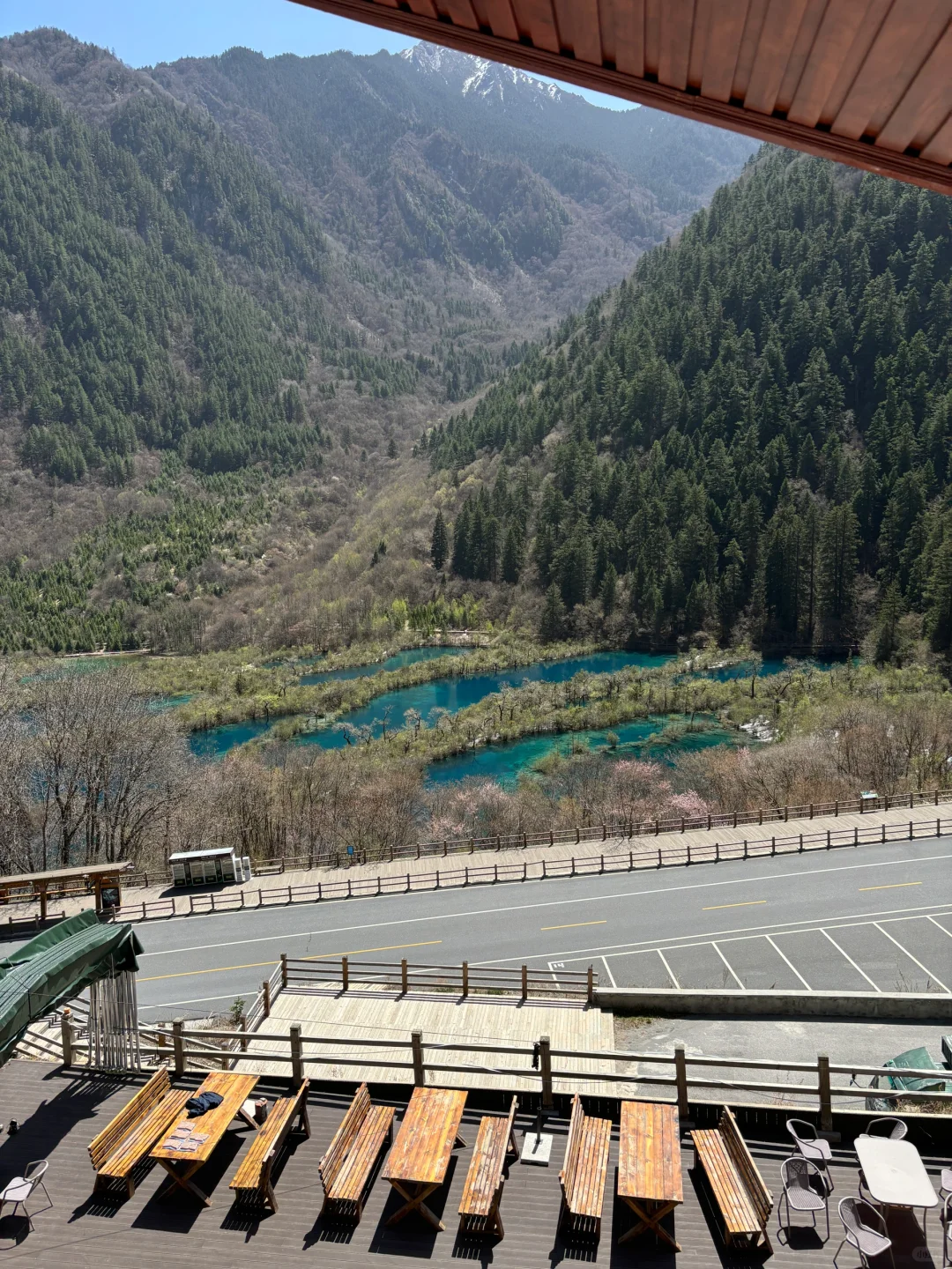 知道九寨沟美，但是……