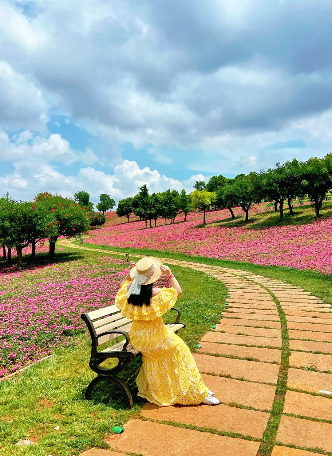 为了这片花海，特意✈️一趟云南，弥勒好美😻
