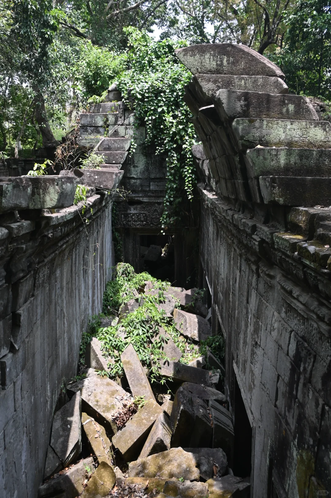 女生单人三天速通柬埔寨吴哥窟🇰🇭（下篇）