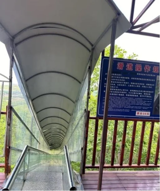 凤城大梨树·一日遛娃