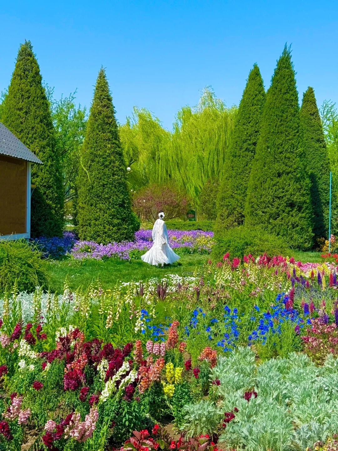 4.15实拍live，北京有自己的莫奈花园‼️