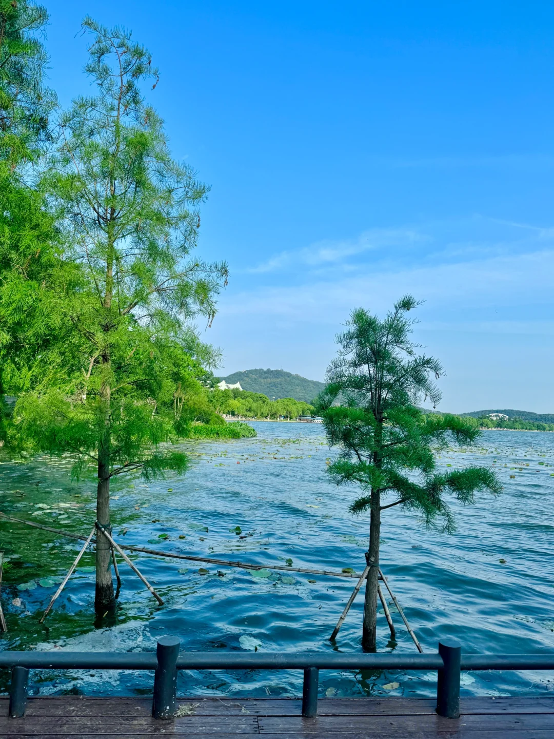 我宣布，这是南京最值得去的免费景区……