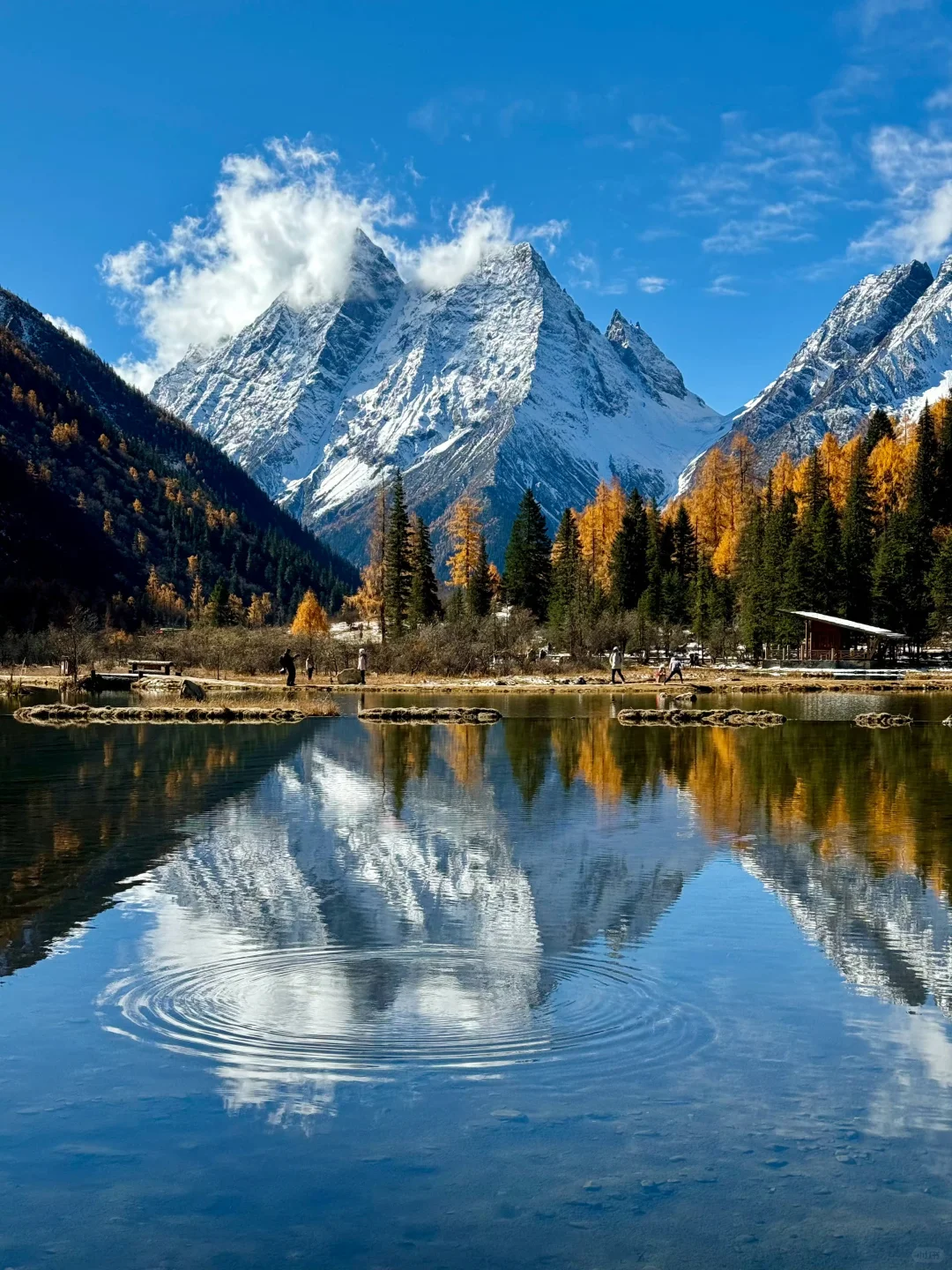 四川高原三大“顶流”九寨沟稻城四姑娘山攻略
