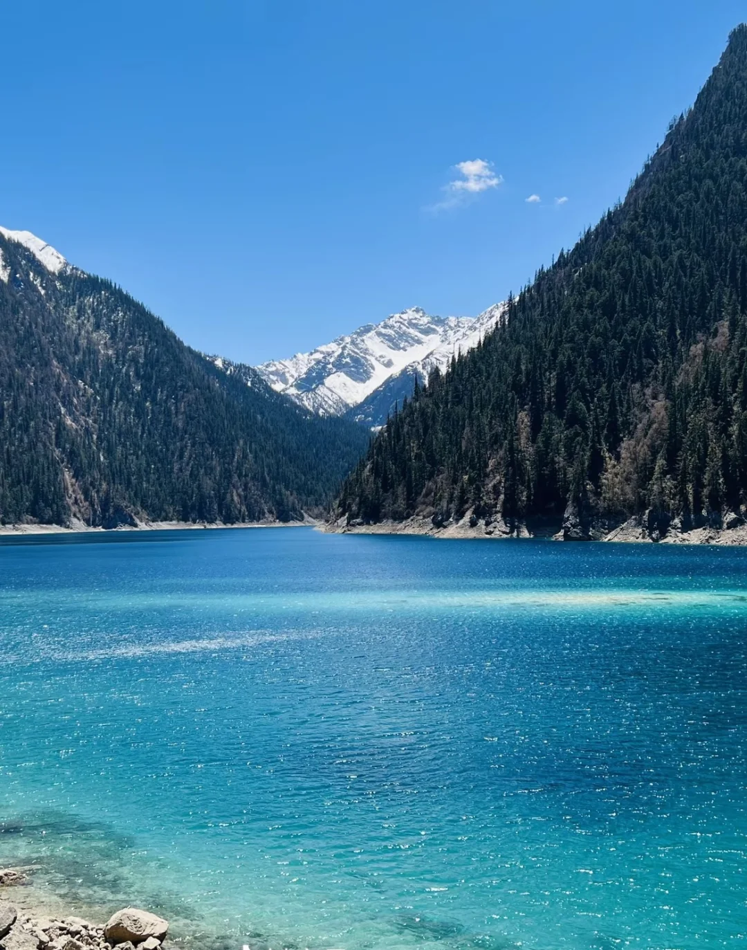 4.19 📍九寨沟 原图直出 简直美得不真实😭