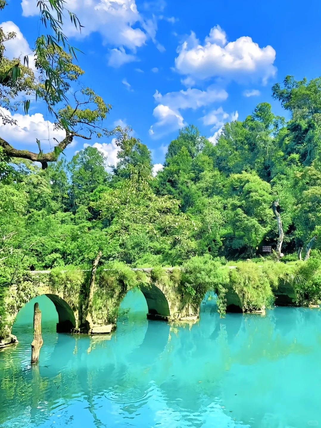 一家三口去贵州，花了2000💰，超划算❗