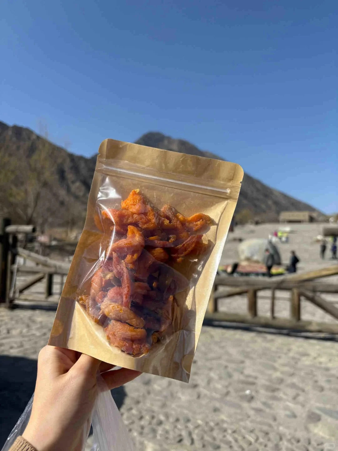 西夏陵+岩画+漫葡小镇一日游攻略和体会🥰